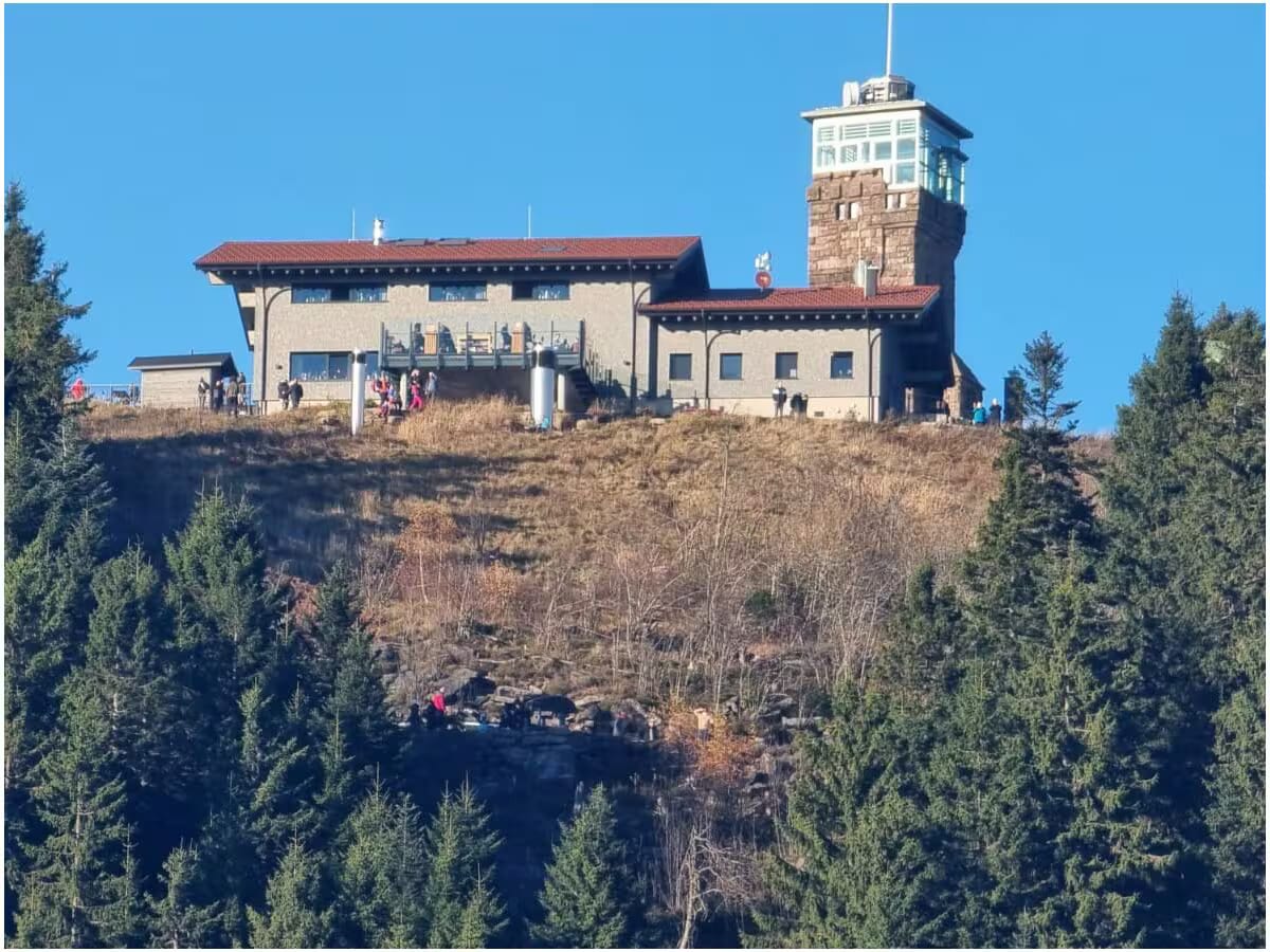 Der Aussichtsturm auf der Hornisgrinde über dem bewaldeten Hang