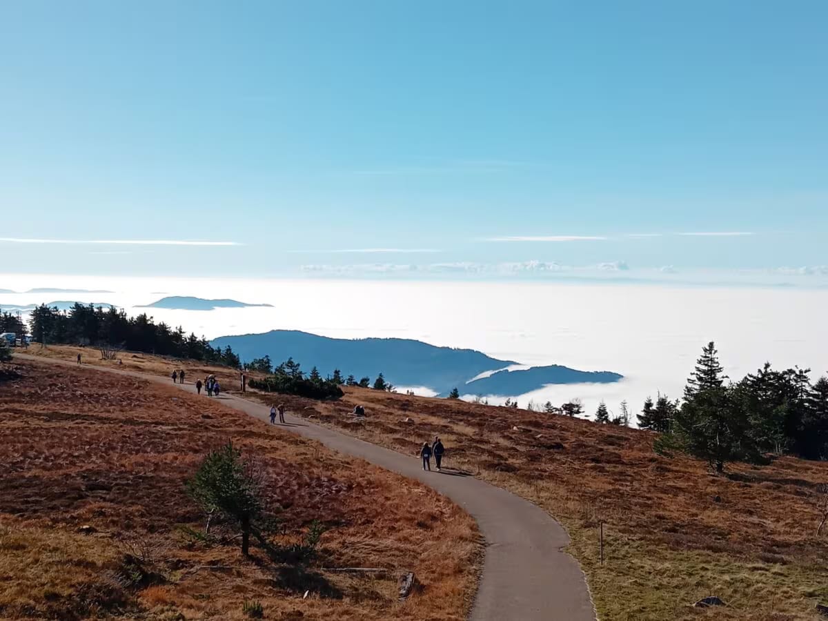 Blick von der Hornisgrinde über ein Wolkenmeer im Nordschwarzwald
