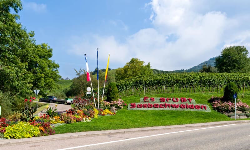 Weinberge und Fachwerkhäuser in Sasbachwalden